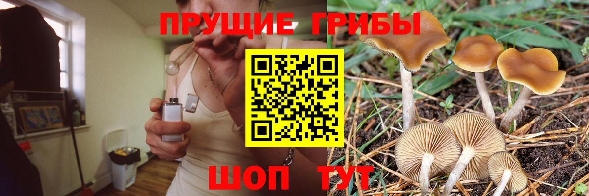 Галлюциногенные грибы мицелий  Вход с VPN  Клин  Псилоцибиновые грибы мицелий 